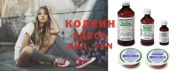 винт Вяземский