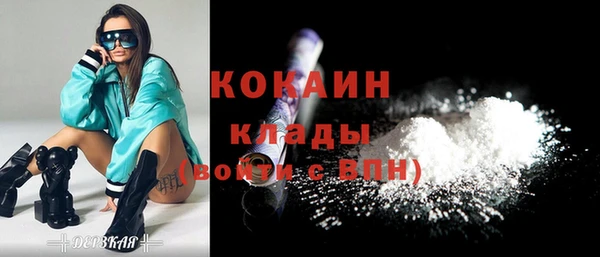 прущие грибы Вязьма