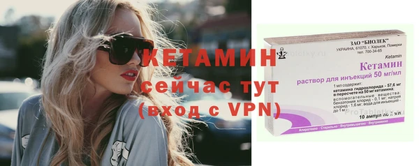 прущие грибы Вязьма