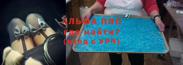 прущие грибы Вязьма