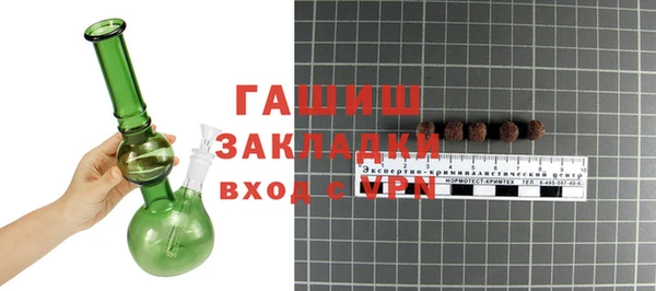 прущие грибы Вязьма