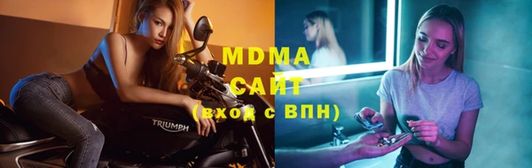 прущие грибы Вязьма