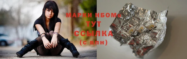 прущие грибы Вязьма