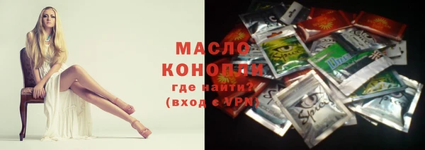 прущие грибы Вязьма