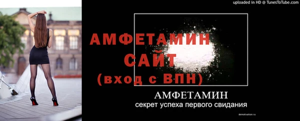 прущие грибы Вязьма