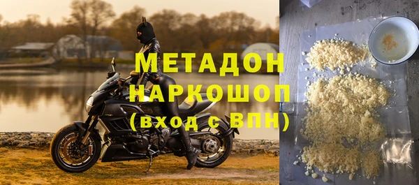 прущие грибы Вязьма