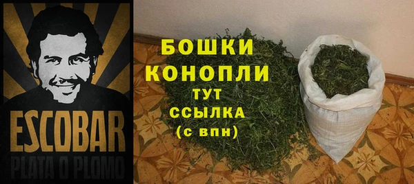 прущие грибы Вязьма
