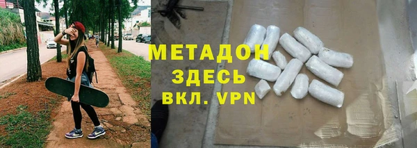 прущие грибы Вязьма