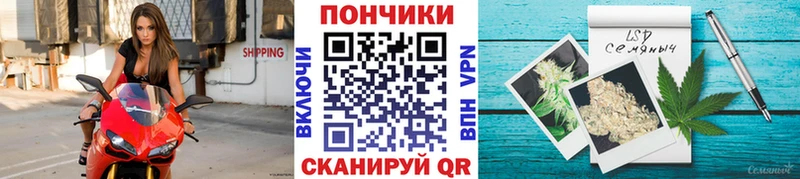 Купить закладки Самара Бошки Шишки Amnesia